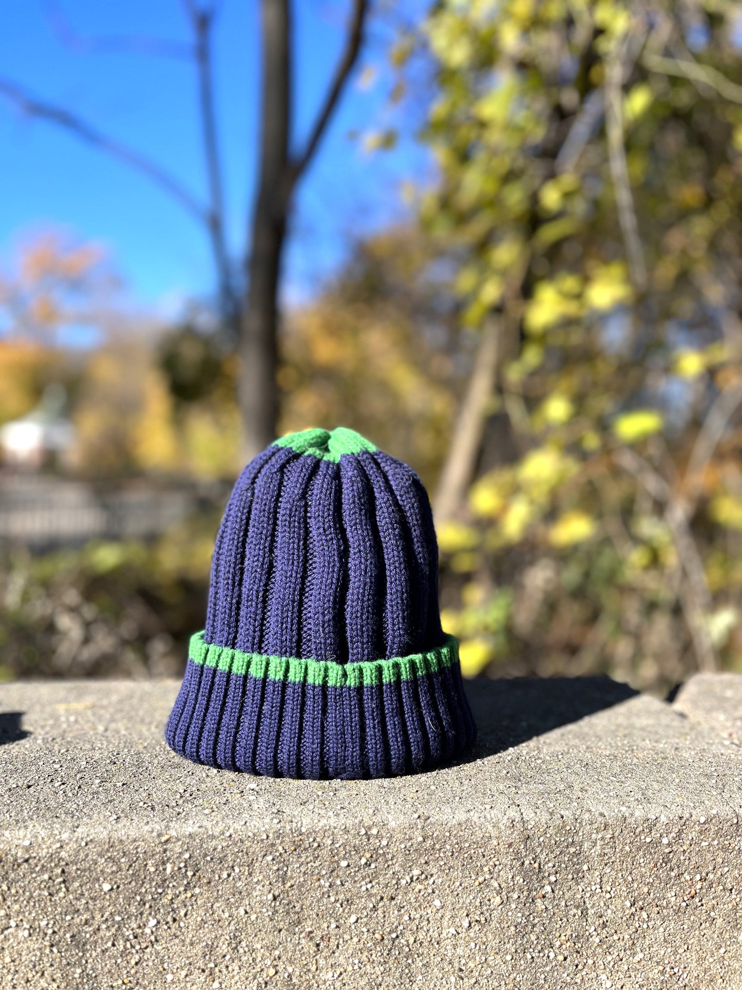 Bushwick Beanie 